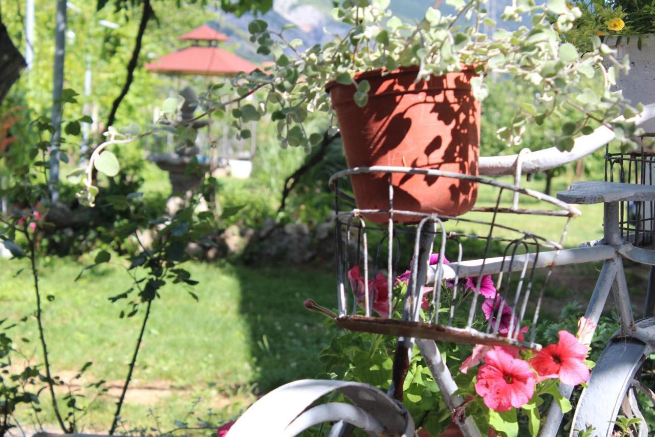 Villa Casa Botanica Blagaj Exterior foto